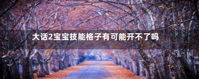 大话2宝宝技能格子有可能开不了吗