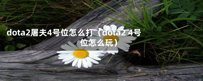 dota2屠夫4号位怎么打(dota2 4号位怎么玩)