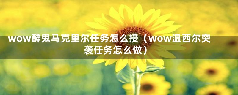 wow醉鬼马克里尔任务怎么接（wow温西尔突袭任务怎么做）