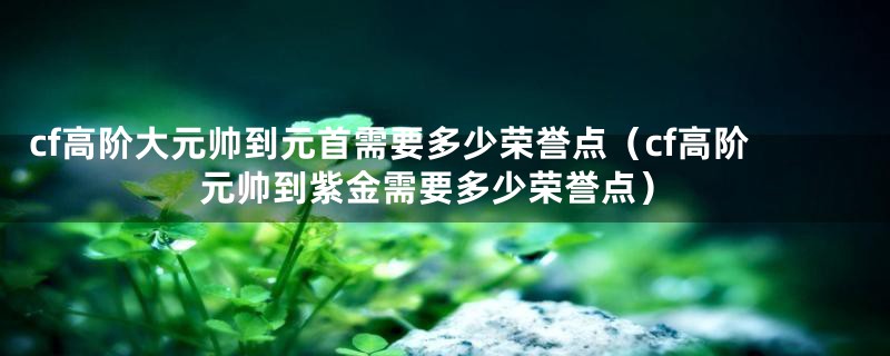 cf高阶大元帅到元首需要多少荣誉点(cf高阶元帅到紫金需要多少荣誉点)