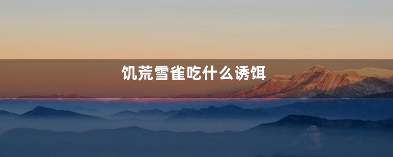 饥荒雪雀吃什么诱饵