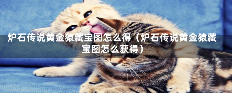 炉石传说黄金猿藏宝图怎么得（炉石传说黄金猿藏宝图怎么获得）