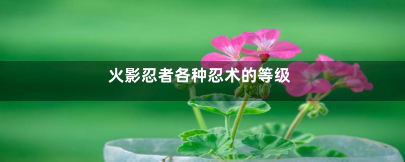 火影忍者各种忍术的等级