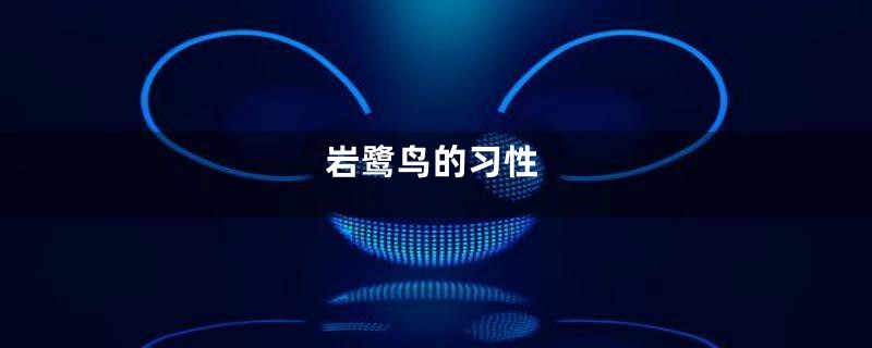岩鹭鸟的习性