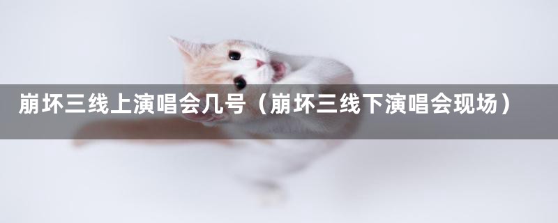 崩坏三线上演唱会几号(崩坏三线下演唱会现场)