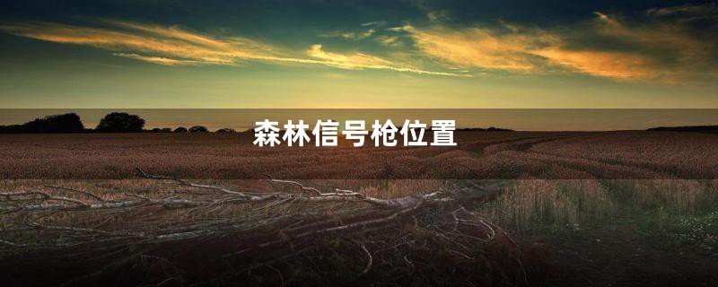 森林信号枪位置
