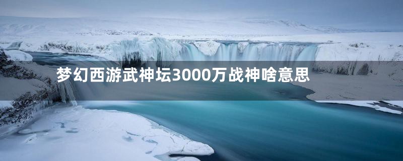 梦幻西游武神坛3000万战神啥意思