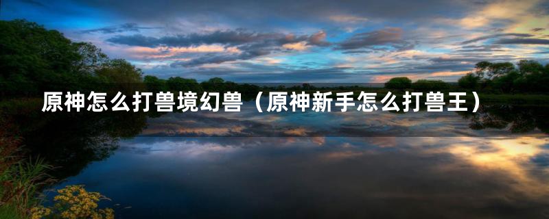 原神怎么打兽境幻兽(原神新手怎么打兽王)
