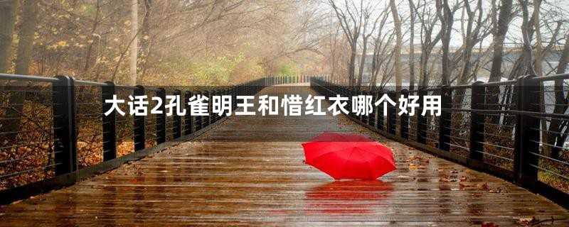 大话2孔雀明王和惜红衣哪个好用
