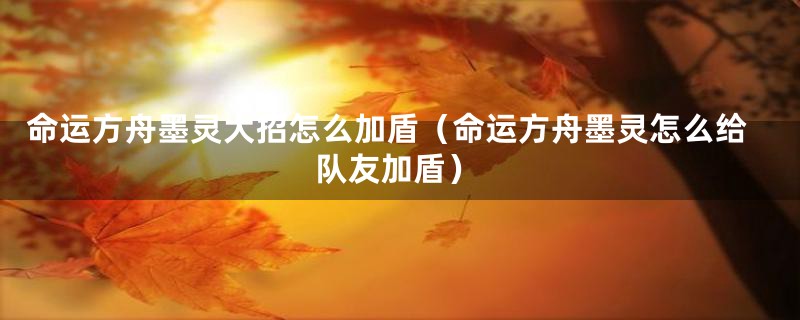 命运方舟墨灵大招怎么加盾（命运方舟墨灵怎么给队友加盾）