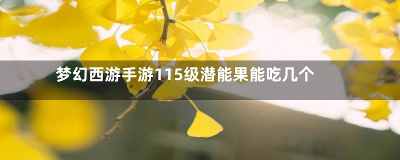 梦幻西游手游115级潜能果能吃几个