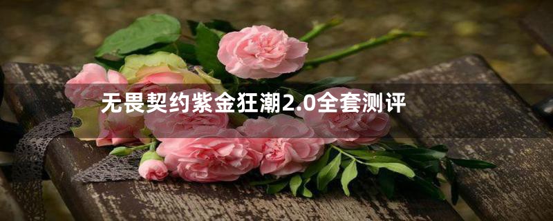 无畏契约紫金狂潮2.0全套测评