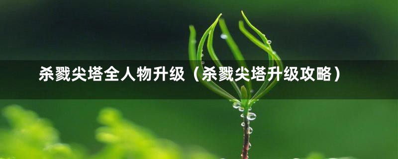 杀戮尖塔全人物升级（杀戮尖塔升级攻略）