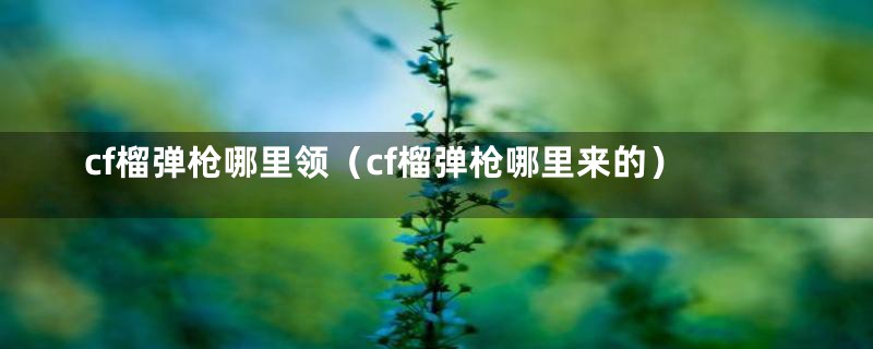 cf榴弹枪哪里领(cf榴弹枪哪里来的)