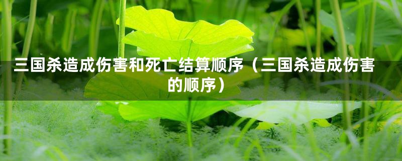 三国杀造成伤害和死亡结算顺序(三国杀造成伤害的顺序)