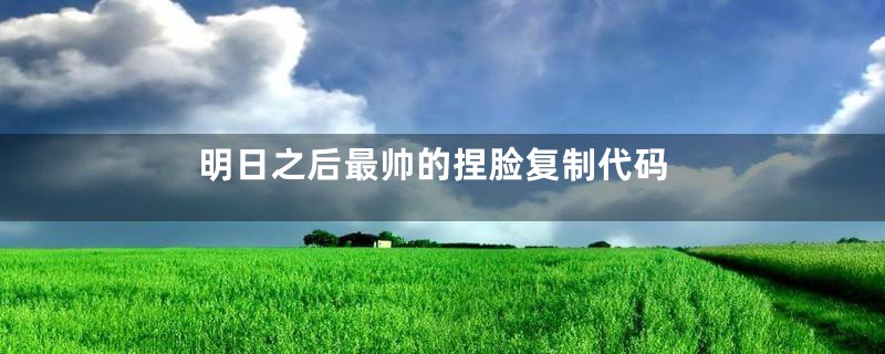 明日之后最帅的捏脸复制代码
