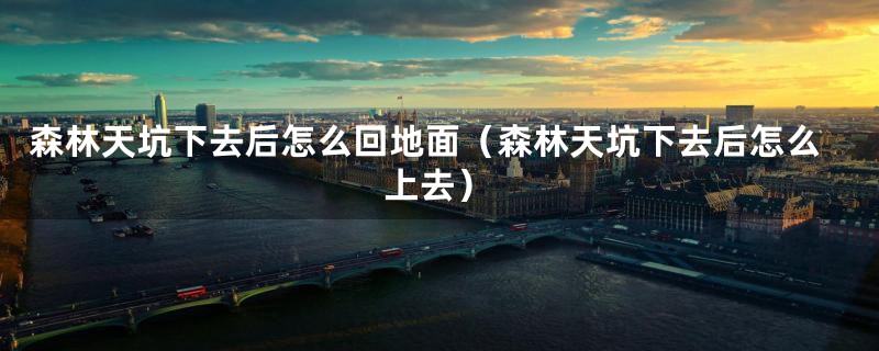 森林天坑下去后怎么回地面(森林天坑下去后怎么上去)