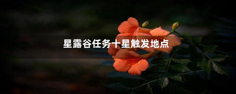 星露谷任务十星触发地点