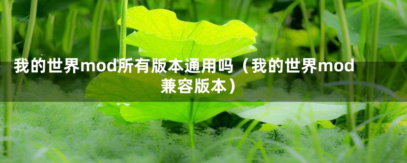 我的世界mod所有版本通用吗(我的世界mod兼容版本)