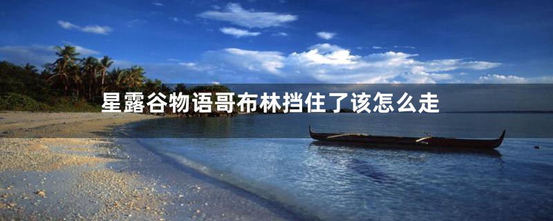 星露谷物语哥布林挡住了该怎么走