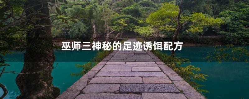 巫师三神秘的足迹诱饵配方