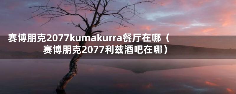 赛博朋克2077kumakurra餐厅在哪（赛博朋克2077利兹酒吧在哪）
