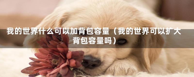 我的世界什么可以加背包容量(我的世界可以扩大背包容量吗)
