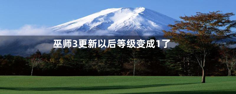 巫师3更新以后等级变成1了