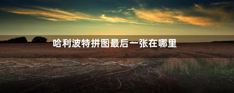 哈利波特拼图最后一张在哪里