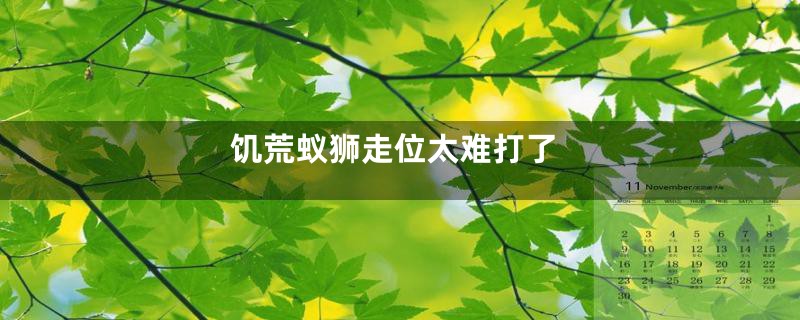 饥荒蚁狮走位太难打了