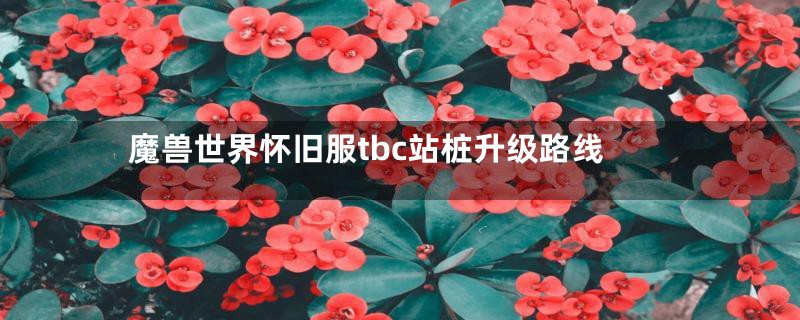 魔兽世界怀旧服tbc站桩升级路线