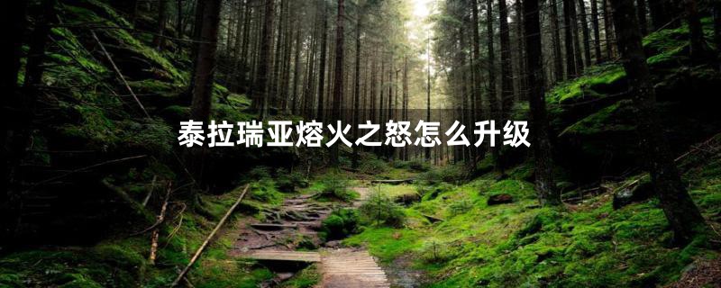 泰拉瑞亚熔火之怒怎么升级