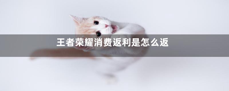 王者荣耀消费返利是怎么返