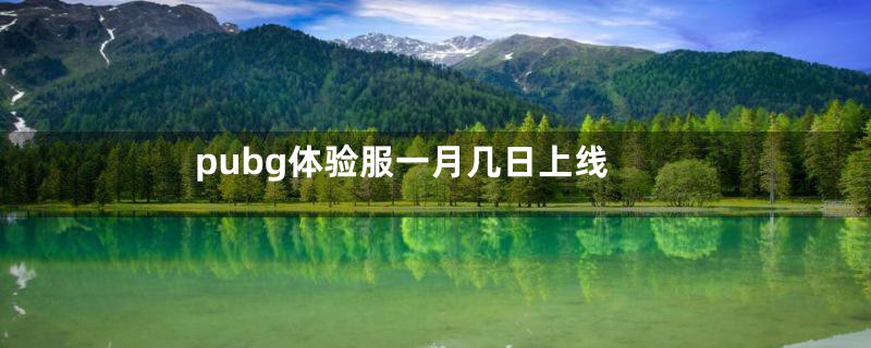 pubg体验服一月几日上线