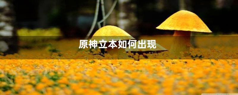 原神立本如何出现