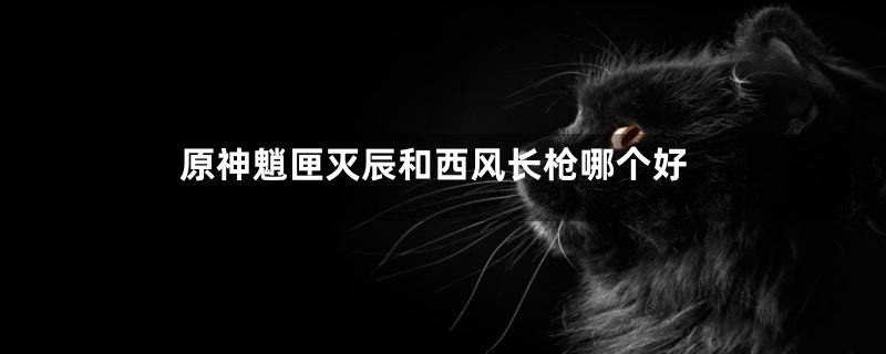 原神魈匣灭辰和西风长枪哪个好