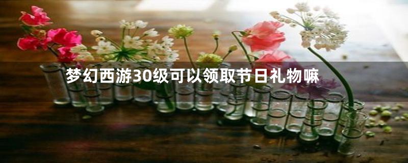 梦幻西游30级可以领取节日礼物嘛