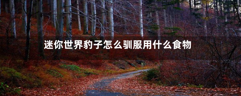 迷你世界豹子怎么驯服用什么食物