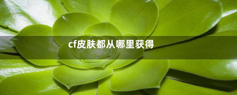 cf皮肤都从哪里获得