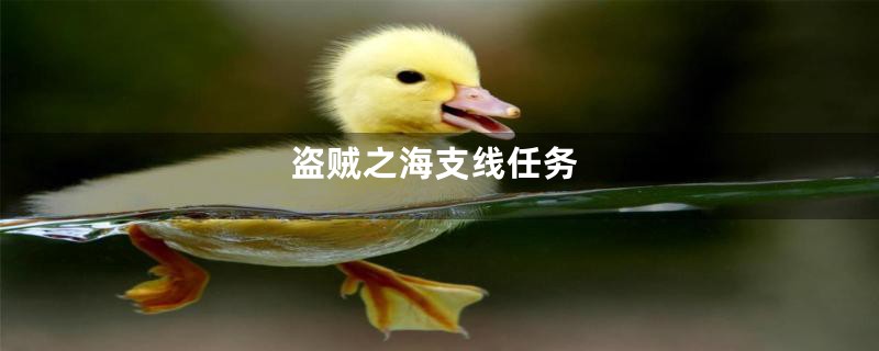 盗贼之海支线任务
