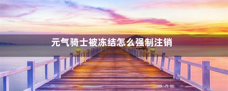 元气骑士被冻结怎么强制注销