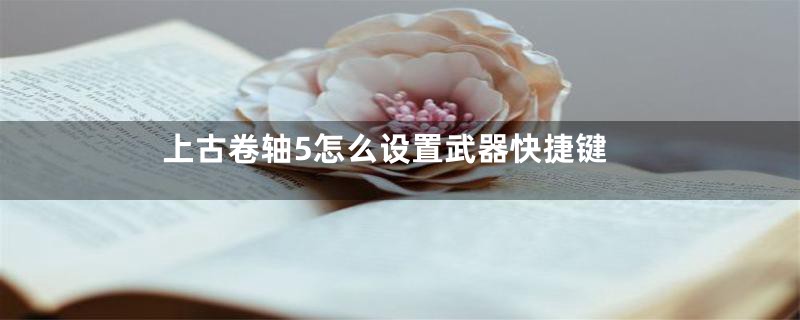 上古卷轴5怎么设置武器快捷键