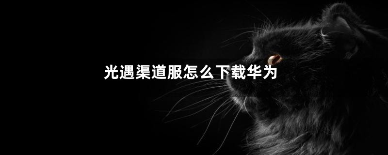 光遇渠道服怎么下载华为