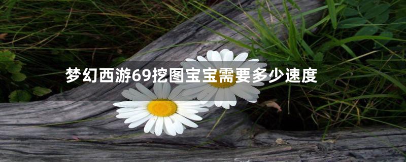 梦幻西游69挖图宝宝需要多少速度