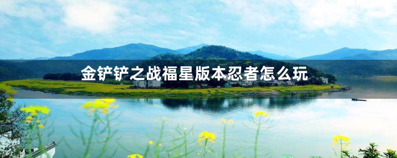 金铲铲之战福星版本忍者怎么玩