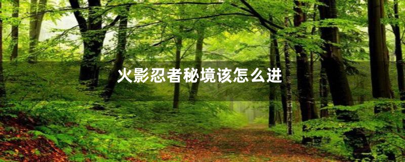 火影忍者秘境该怎么进
