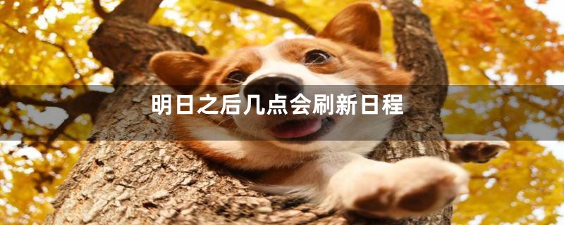 明日之后几点会刷新日程