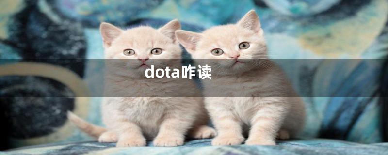 dota咋读