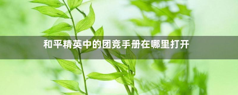 和平精英中的团竞手册在哪里打开