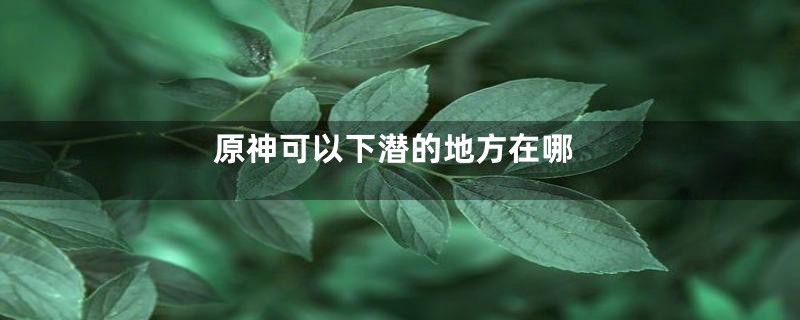原神可以下潜的地方在哪